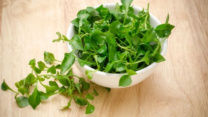 Dünyanın en sağlıklı sebzeleri seçildi! Ispanak mı su teresi mi?