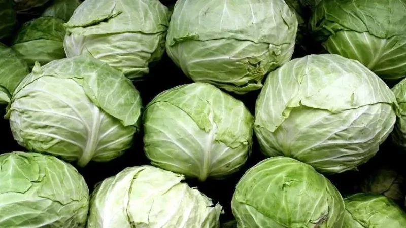 Dünyanın en sağlıklı sebzeleri seçildi! Ispanak mı su teresi mi?