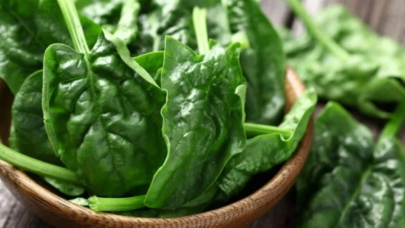 Dünyanın en sağlıklı sebzeleri seçildi! Ispanak mı su teresi mi?