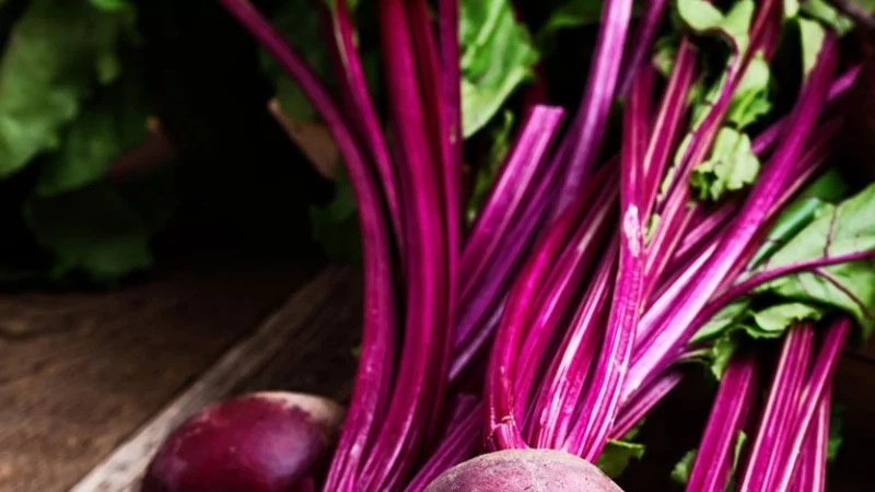 Dünyanın en sağlıklı sebzeleri seçildi! Ispanak mı su teresi mi?