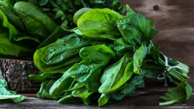 Dünyanın en sağlıklı sebzeleri seçildi! Ispanak mı su teresi mi?