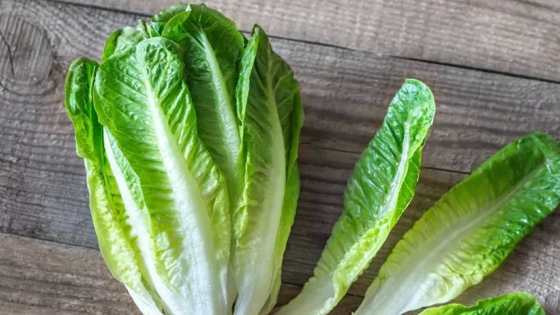 Dünyanın en sağlıklı sebzeleri seçildi! Ispanak mı su teresi mi?