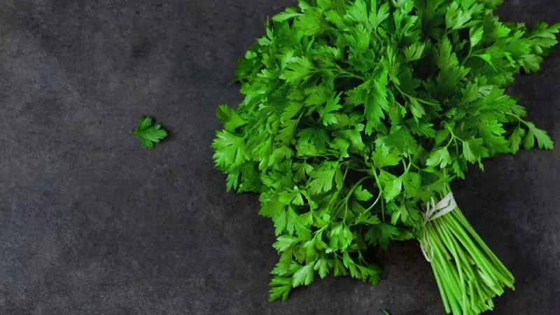 Dünyanın en sağlıklı sebzeleri seçildi! Ispanak mı su teresi mi?