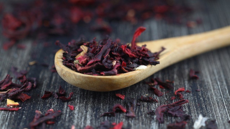 Kış çayı hibisküs'ün kalp sağlığına kadar varan etkileri!