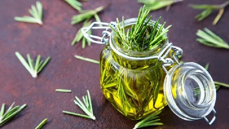 Kekik ve biberiye kansere karşı doğal savunma