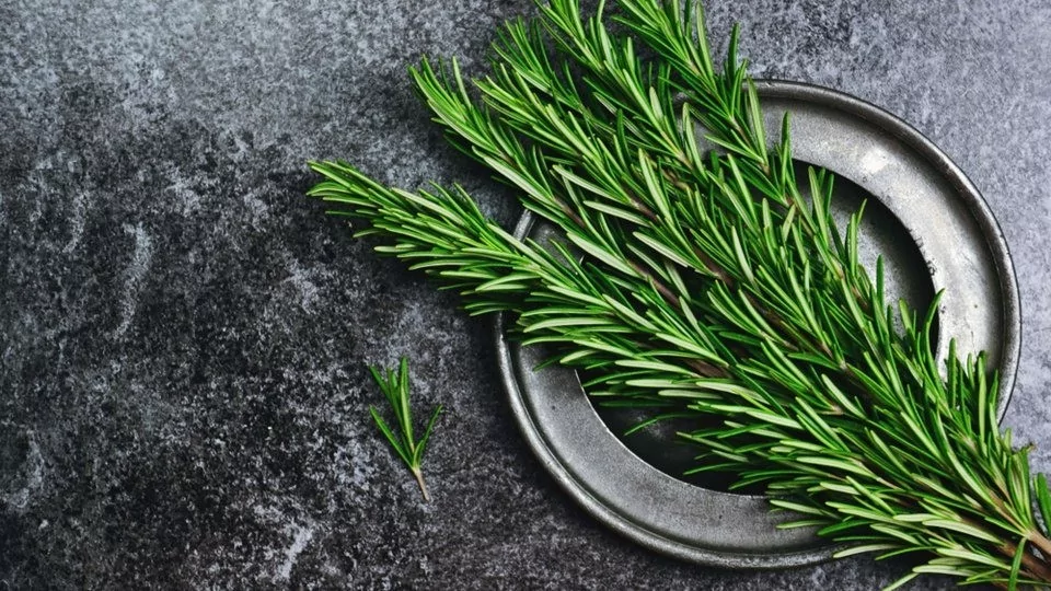 Kekik ve biberiye kansere karşı doğal savunma