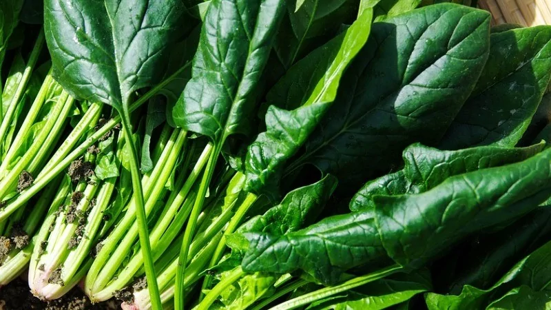 Bağırsak kanserine zemin hazırlıyor! Isıtmadan tüketin