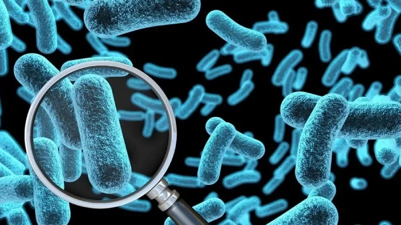 Bağırsak kanserine zemin hazırlıyor! Isıtmadan tüketin