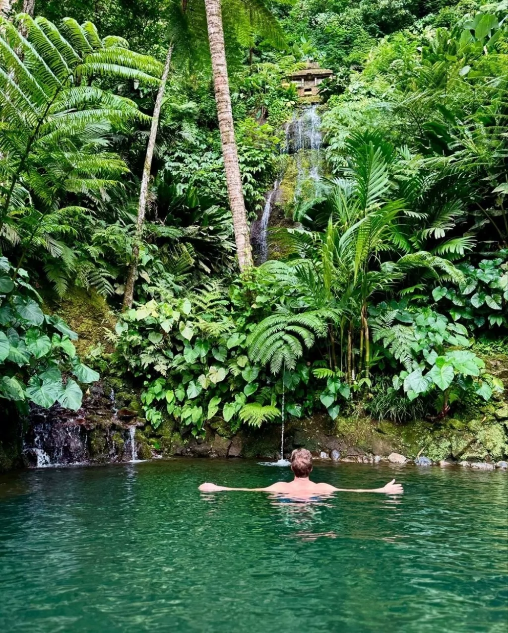 Engin Altan Düzyatan ve Neslihan Alkoçlar, Bali tatilinde!