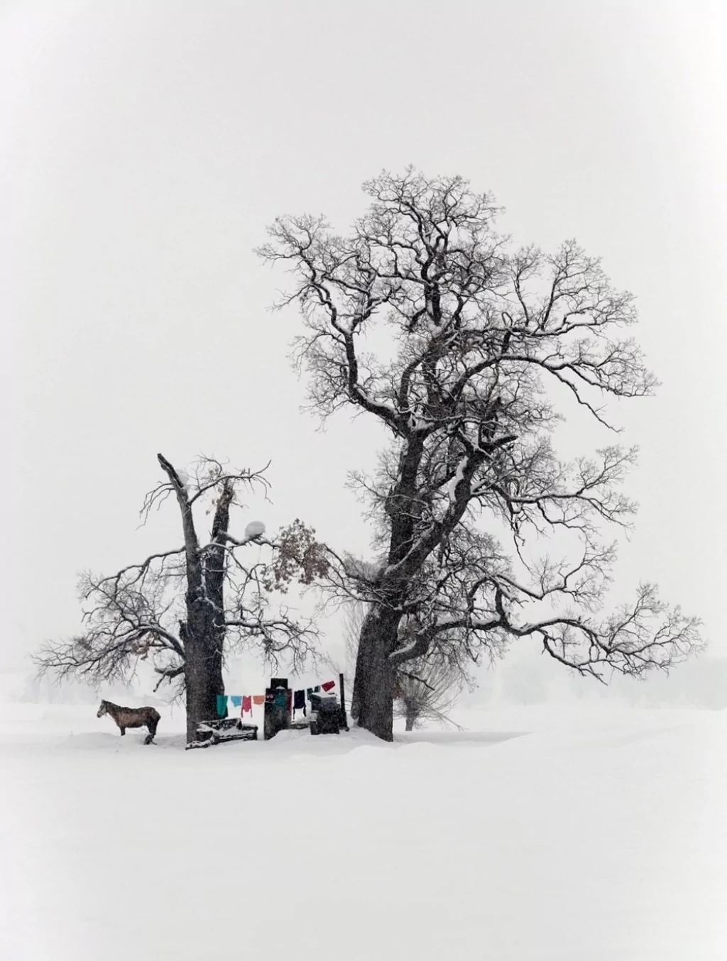 Bu yıl düzenlenen Devlet Fotoğraf Yarışması sonuçları