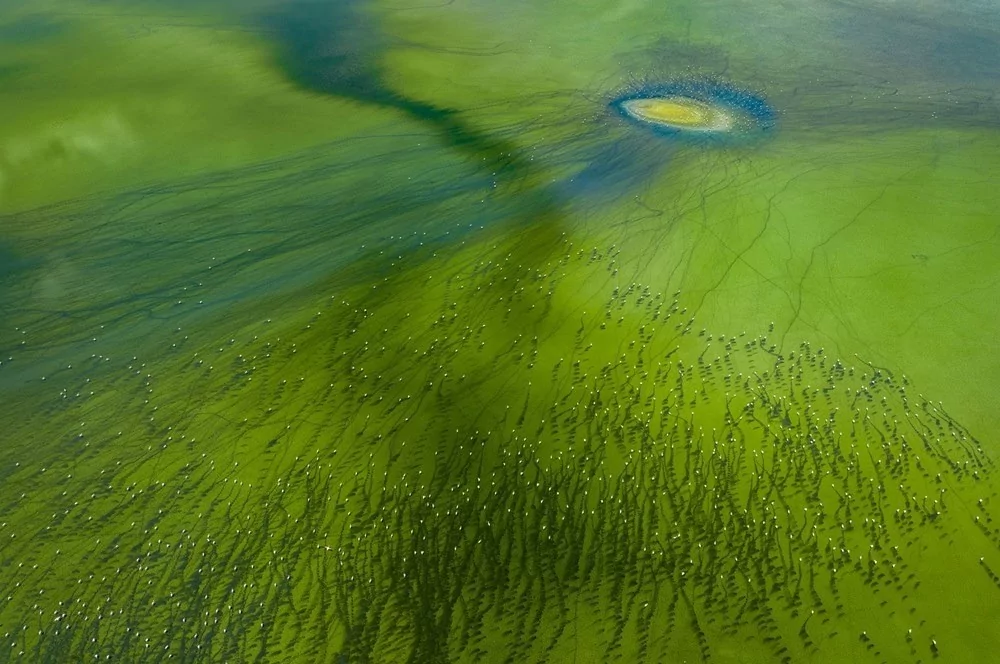 Bu yıl düzenlenen Devlet Fotoğraf Yarışması sonuçları