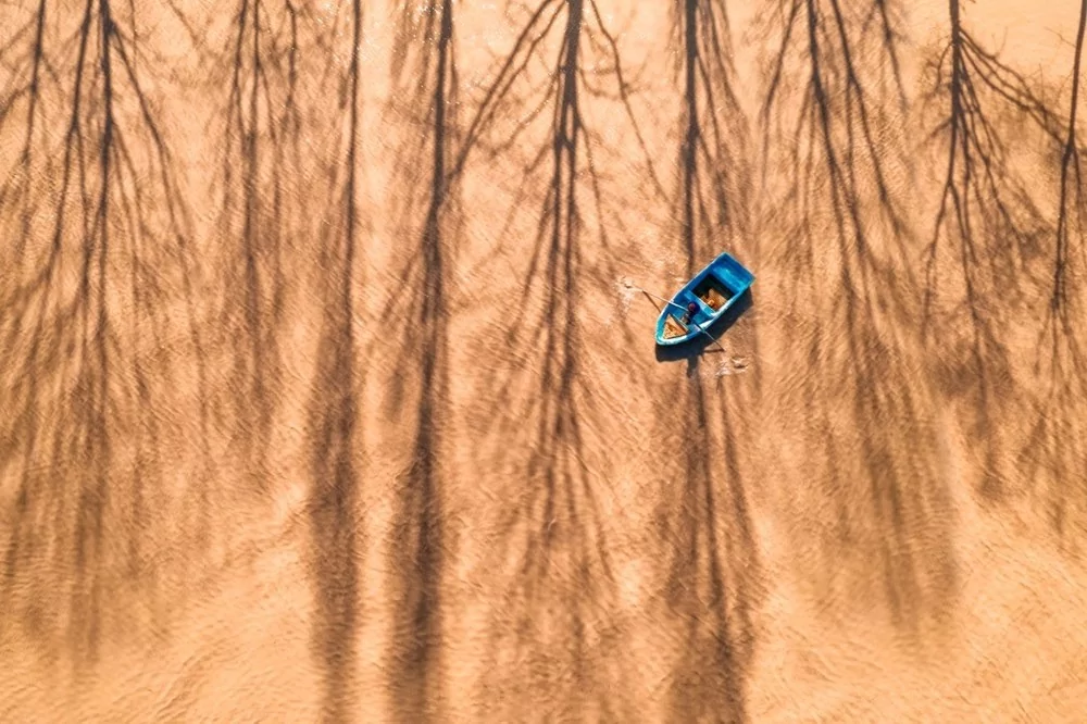 Bu yıl düzenlenen Devlet Fotoğraf Yarışması sonuçları