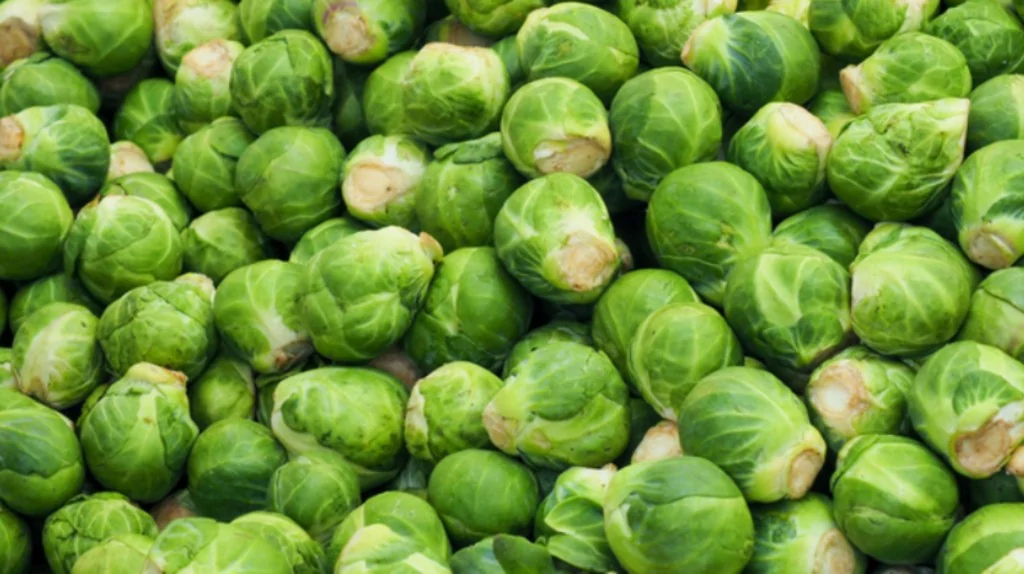 Brüksel lahanası yemeniz için 8 neden: Kilo vermeye de yardımcı