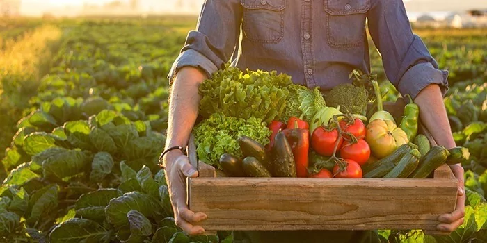 2025'te hayatınızı tamamen etkileyecek 25 yol