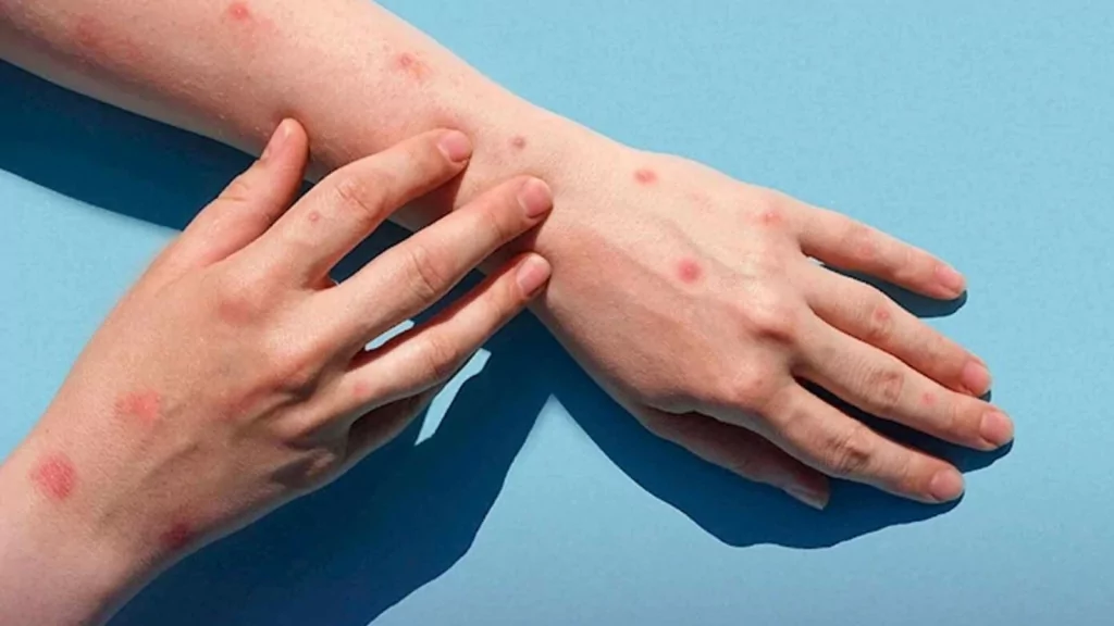 2024'te Türkiye, Google'da en çok neleri arattı?