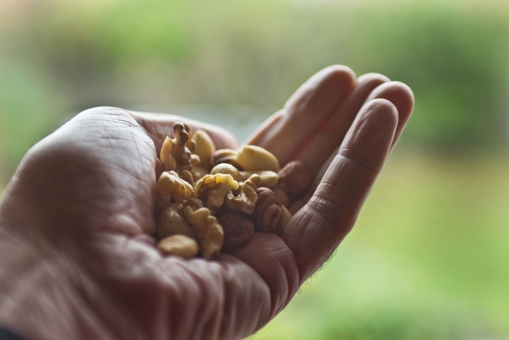 Vücudu protein deposuna çeviren çerezler