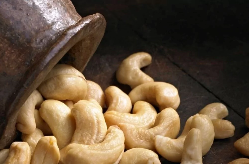 Günde 5 tane kaju yemenin faydaları