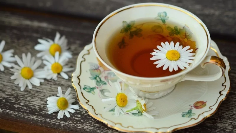 Birbirinden sağlıklı 7 bitki çayı