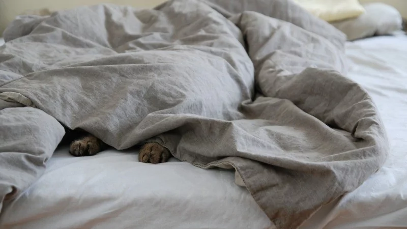 TikTok'un yeni ' Hurkle-durkle' trendi