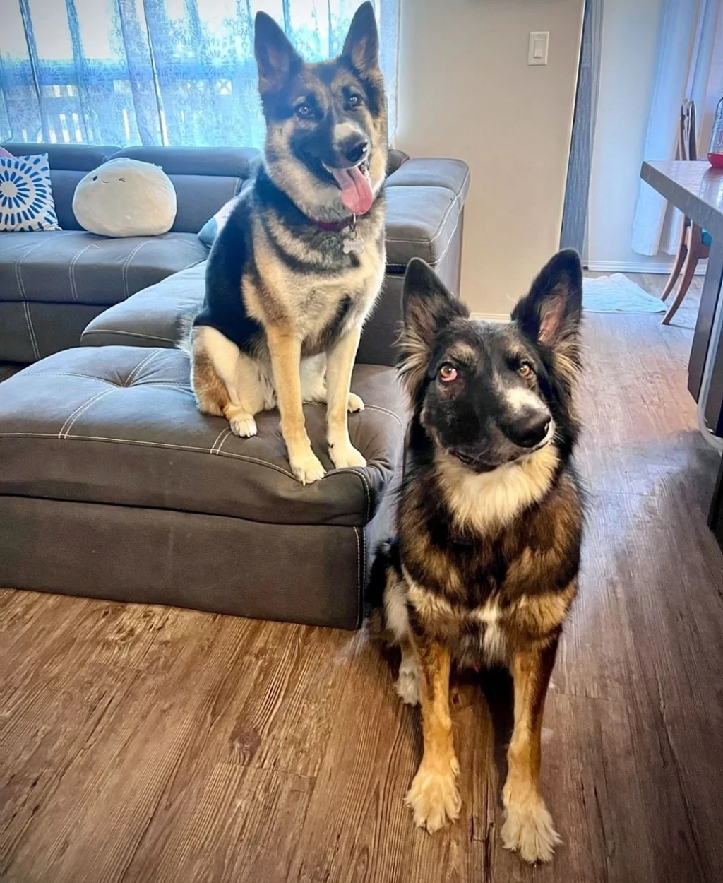 Asimetrik yüzüyle Picasso eserlerine benzetildi