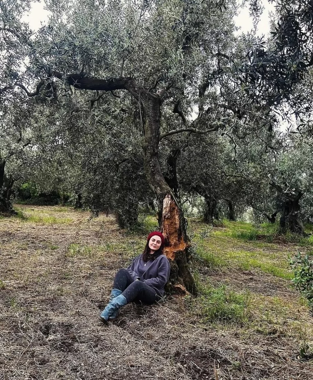 Aslıhan Gürbüz'ün zeytin hasadı: Ekranlara geri dönüyor