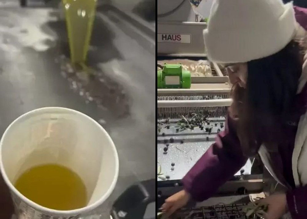 Aslıhan Gürbüz'ün zeytin hasadı: Ekranlara geri dönüyor