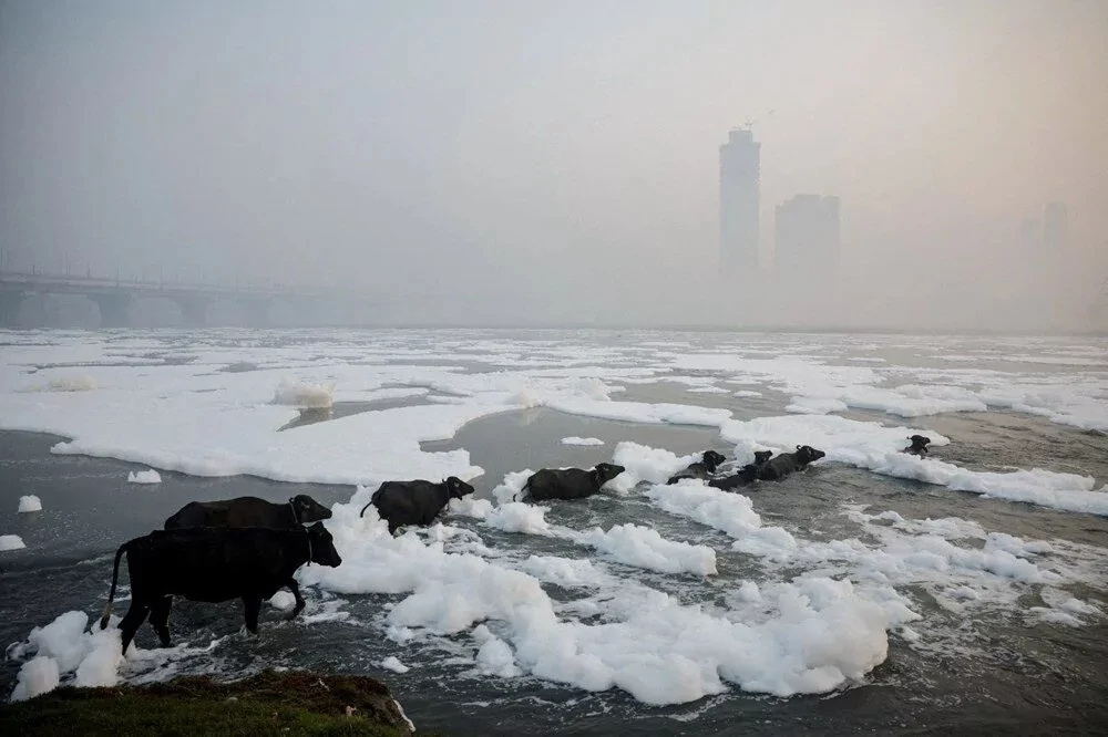 Reuters yılın fotoğraflarını paylaştı