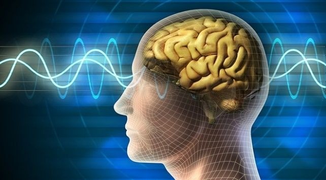 IQ'su en yüksek burçlar: Doğuştan zeki 3 burç...