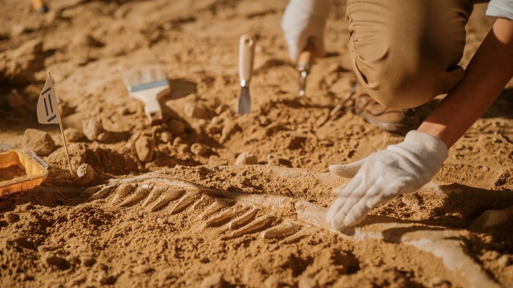 2024'ün en önemli 10 arkeolojik keşfi
