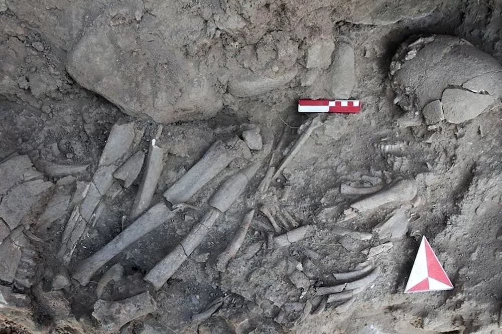 2024'ün en önemli 10 arkeolojik keşfi