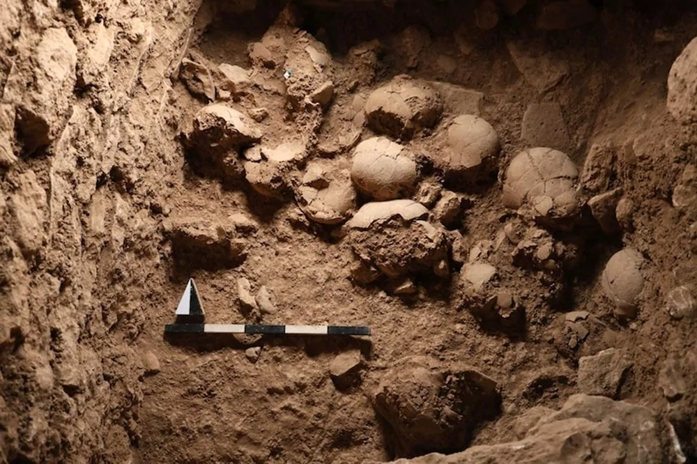 2024'ün en önemli 10 arkeolojik keşfi