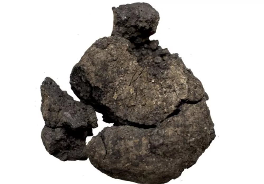 2024'ün en önemli 10 arkeolojik keşfi