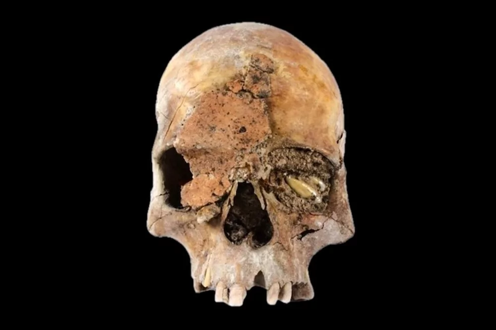 2024'ün en önemli 10 arkeolojik keşfi