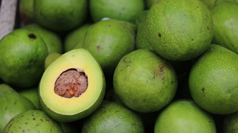 Meyvelerin sağlıklısı avakadonun 6 faydası