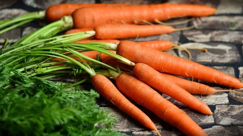 Göz sağlığını destekleyen 10 besin