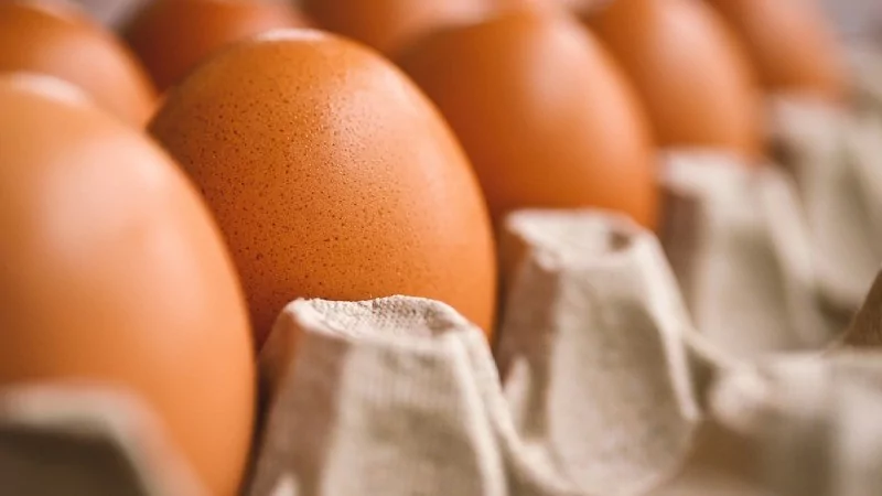 Her gün 1 yumurta yemenin 6 faydası