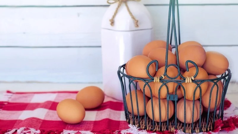 Her gün 1 yumurta yemenin 6 faydası