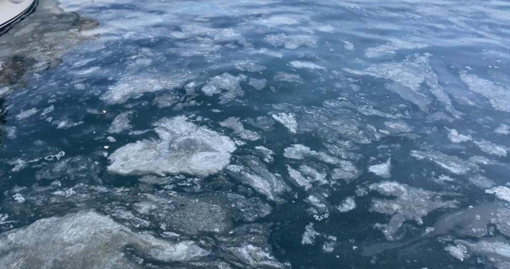 Marmara Denizi soğumadı, beklenen lüfer akını yaşanmadı