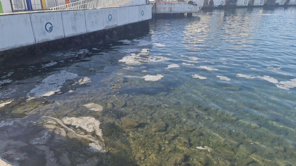 Marmara Denizi soğumadı, beklenen lüfer akını yaşanmadı