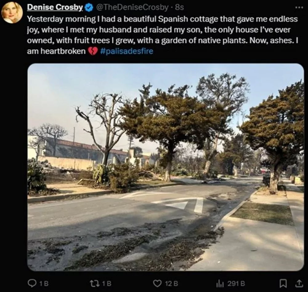 Los Angeles'taki yangında ünlülerin evi kül oldu