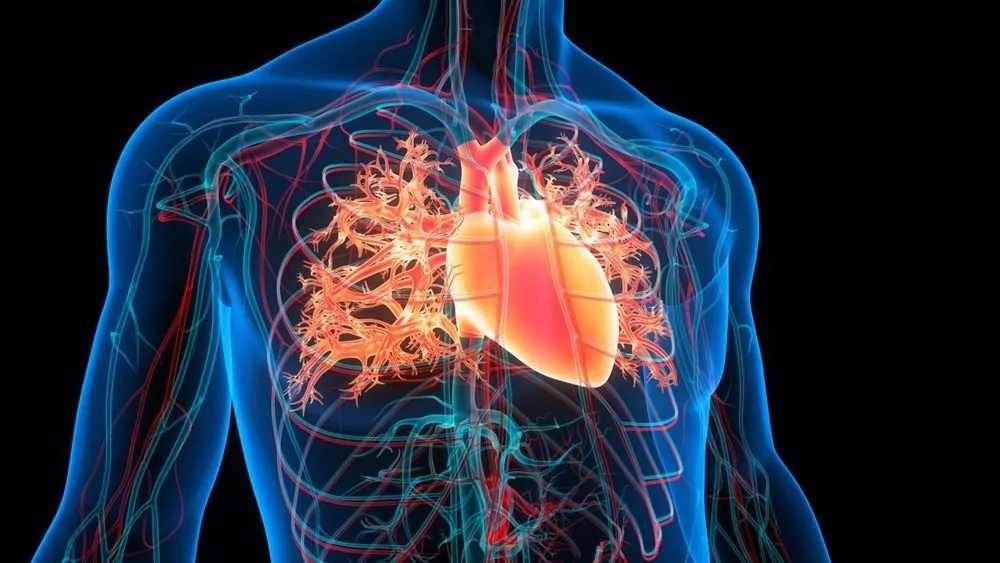 Kalbiniz yorulmuş olabilir! İşte belirtiler...