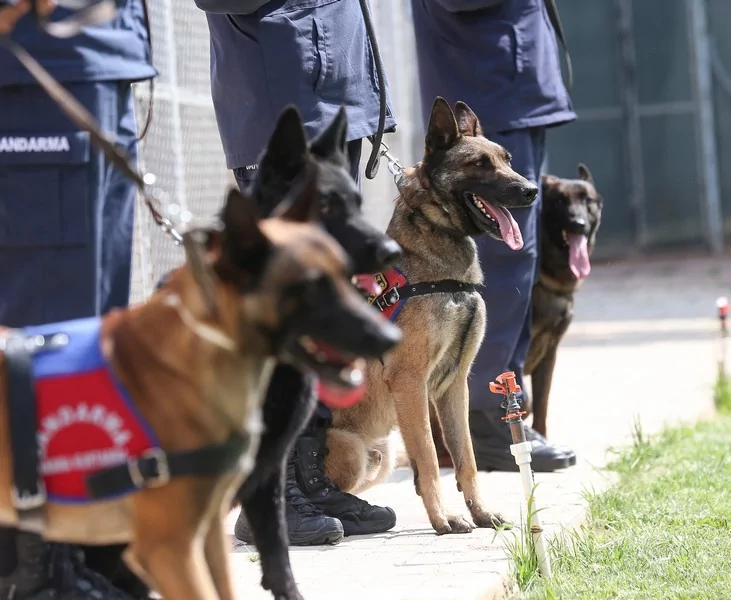 Bursa'da jandarmanın hassas burunları göreve hazır!