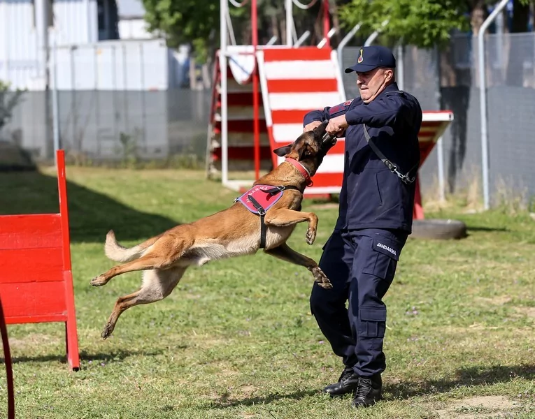Bursa'da jandarmanın hassas burunları göreve hazır!