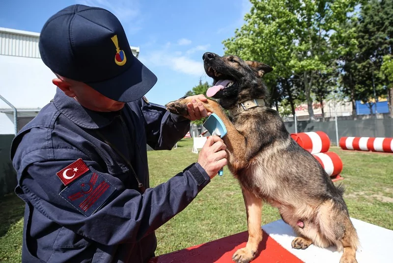Bursa'da jandarmanın hassas burunları göreve hazır!