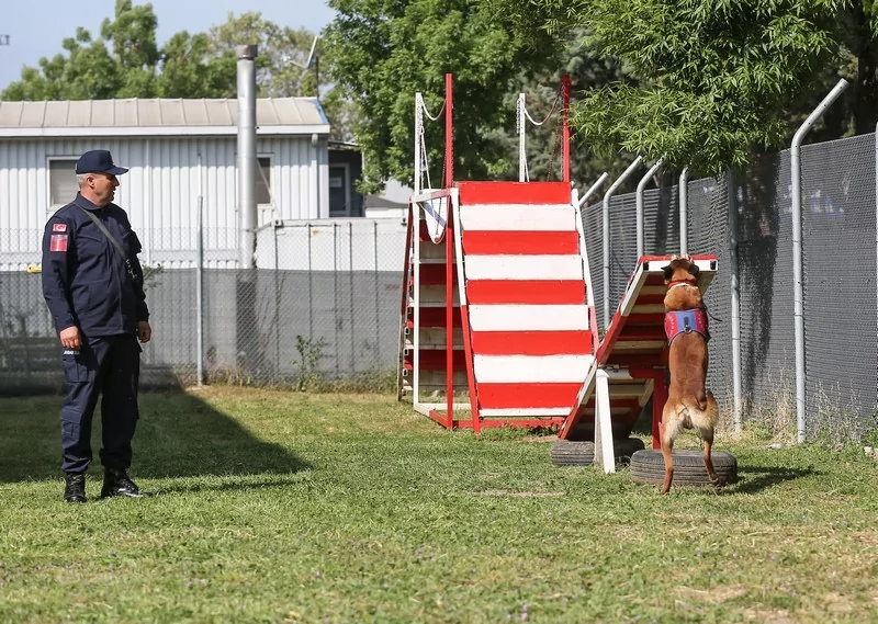 Bursa'da jandarmanın hassas burunları göreve hazır!