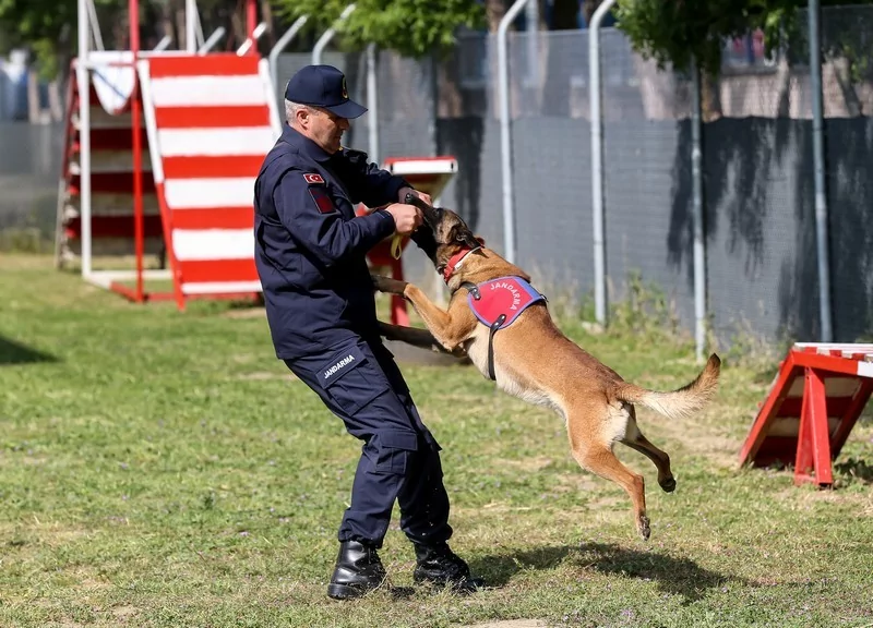 Bursa'da jandarmanın hassas burunları göreve hazır!