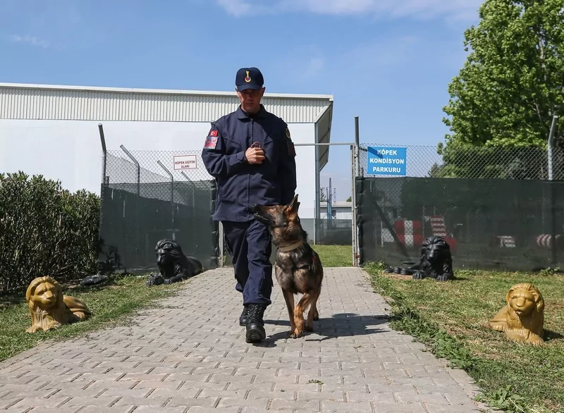 Bursa'da jandarmanın hassas burunları göreve hazır!