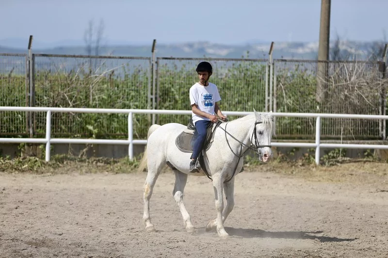Bursa'da üniversite öğrencileri atları "oyunlarla" eğitiyor