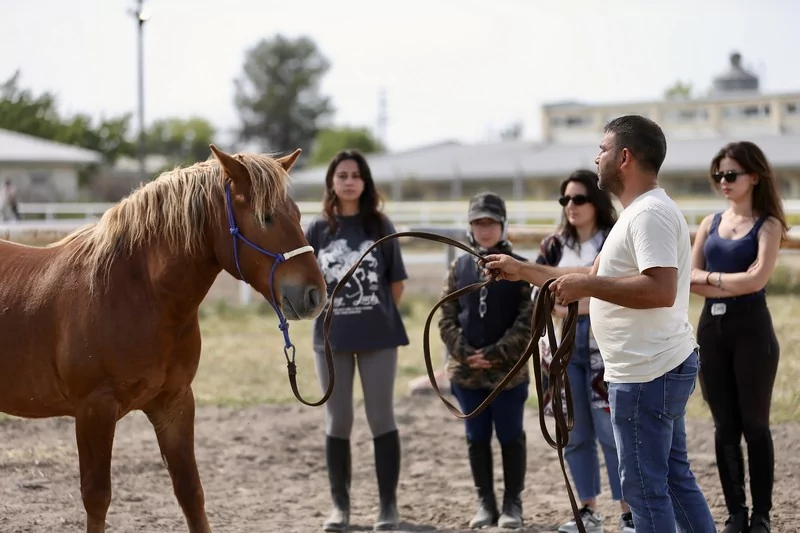 Bursa'da üniversite öğrencileri atları "oyunlarla" eğitiyor