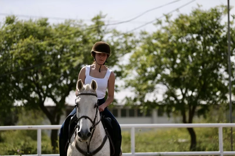 Bursa'da üniversite öğrencileri atları "oyunlarla" eğitiyor